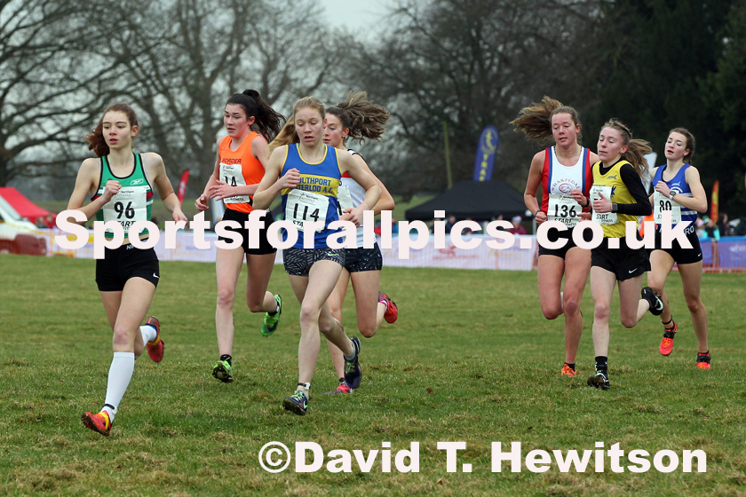 Womens under-17 Northern Cross Country Champs., Camp Hill Estate, Kirklington.  Photo: David T. Hewitson/Sports for All Pics